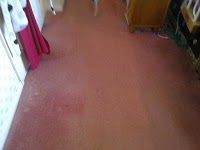 ebeneezer cleans carpet and upholstery cleaning 349408 Image 5